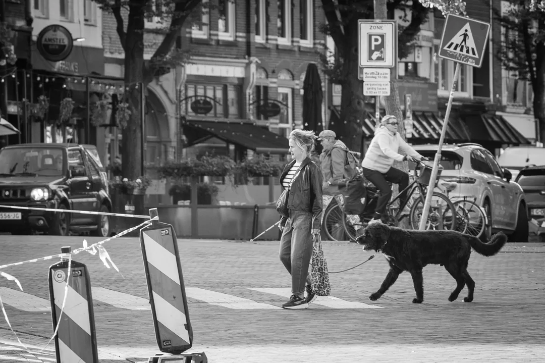 Tijdens een Fotowolk gemaakte foto met het thema dieren in de stad.